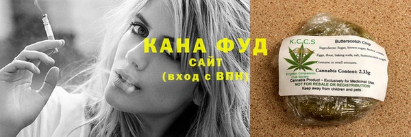 гидра Каменногорск