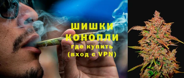 крисы Заводоуковск