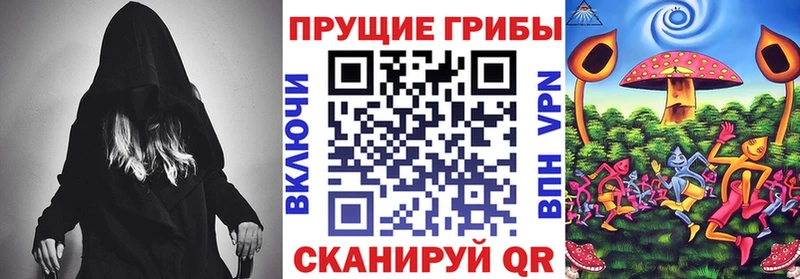 blacksprut как зайти  Рославль  Галлюциногенные грибы Cubensis 