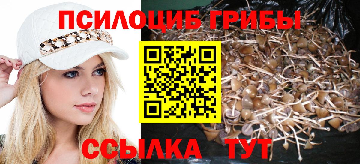 Галлюциногенные грибы GOLDEN TEACHER  Вход с VPN  Галлюциногенные грибы GOLDEN TEACHER  Рославль 