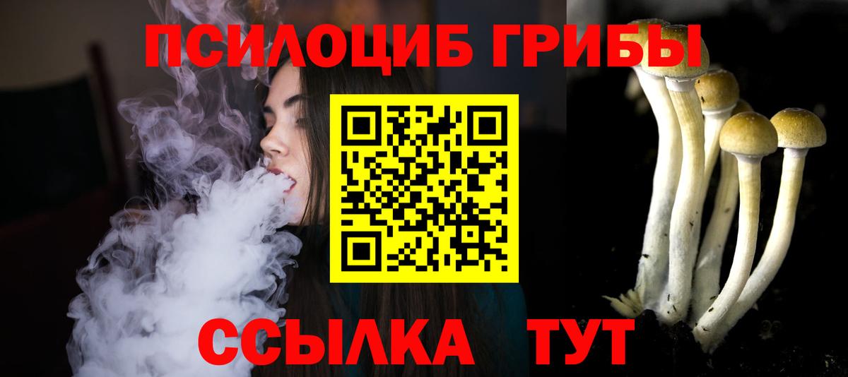 Псилоцибиновые грибы Psilocybe Рославль